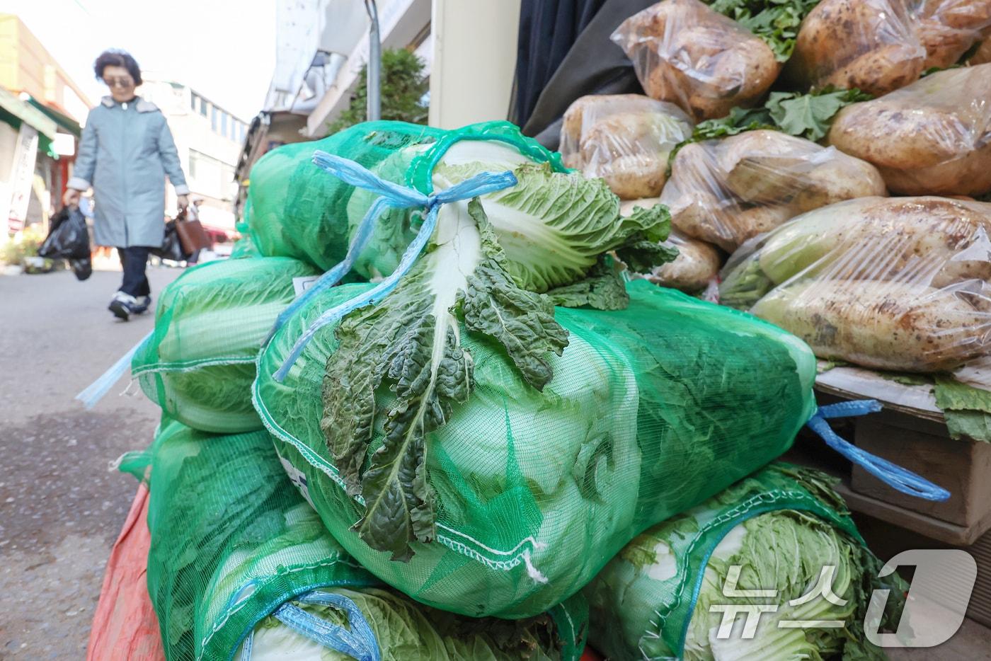 배추 등 김장 재료 가격이 내려가면서 김장물가가 열흘 만에 7.9% 하락한 것으로 나타났다. 한국농수산식품유통공사&#40;aT&#41; 등에 따르면 지난 22일 기준 배추 20포기를 김장할 때 소요되는 비용은 20만 4315원으로 조사됐다. 24일 서울 동작구 흑석시장에서 배추와 무 등 김장 채소가 판매되고 있다. 2024.11.24/뉴스1 ⓒ News1 민경석 기자