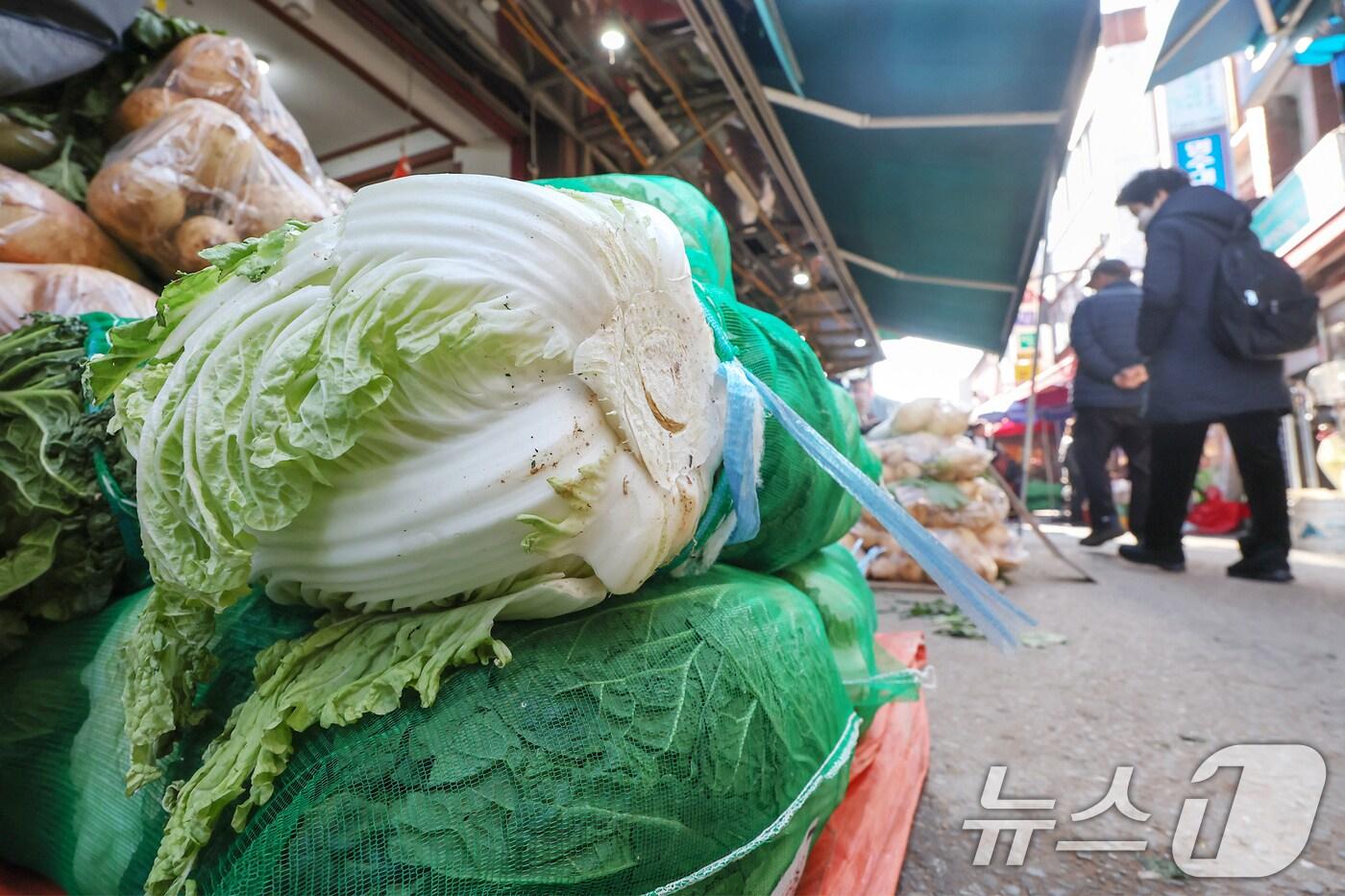 본문 이미지 -  서울 동작구 흑석시장에서 시민들이 배추 등 김장채소를 고르고 있다.  ⓒ News1 DB 