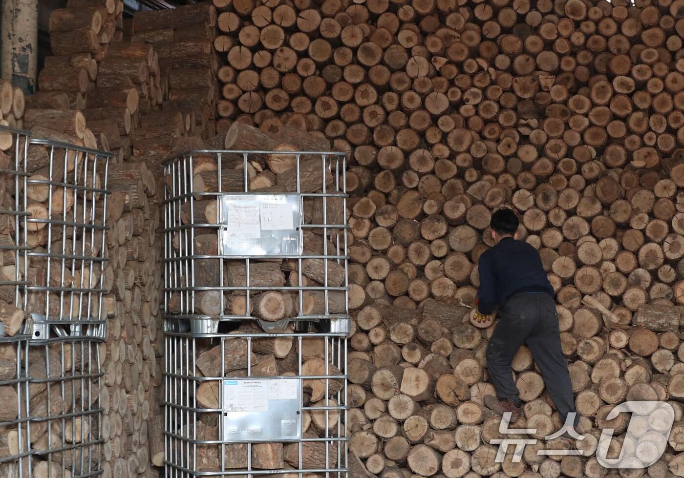 본문 이미지 - 25일 경기 안성시의 한 장작공장에서 관계자가 장작 출하 작업을 하고 있다. 기상청은 오는 26일 전국에 눈, 비가 전국적으로 내리다가 영하권으로 기온이 떨어지겠다고 예보했다. 2024.11.25/뉴스1 ⓒ News1 김영운 기자
