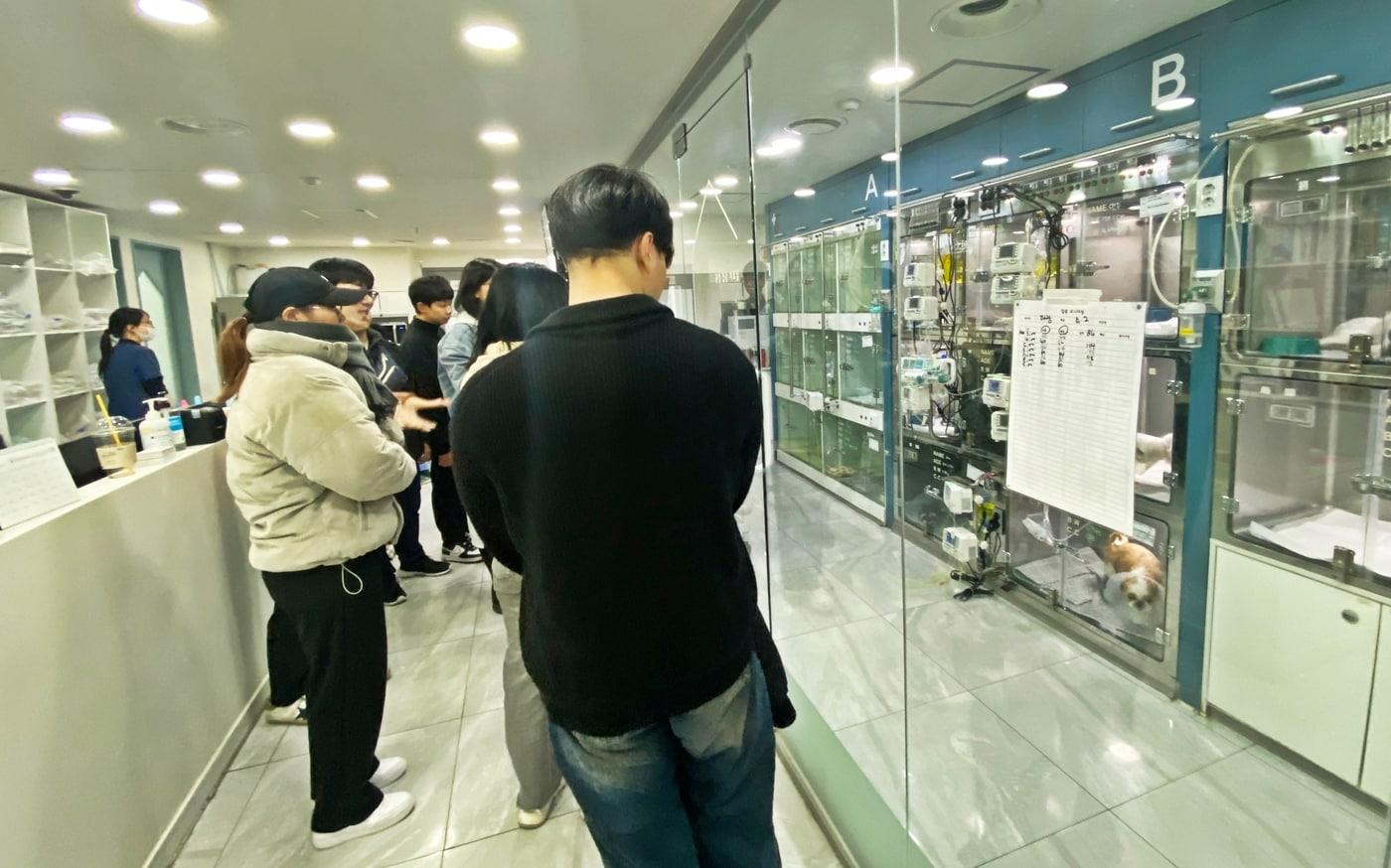 유한대학교 건강웰니스학과 반려동물전공 학생들이 최근 부천 비엔동물전문의료센터에 방문해 현장 견학을 실시했다. (유한대 제공) ⓒ 뉴스1