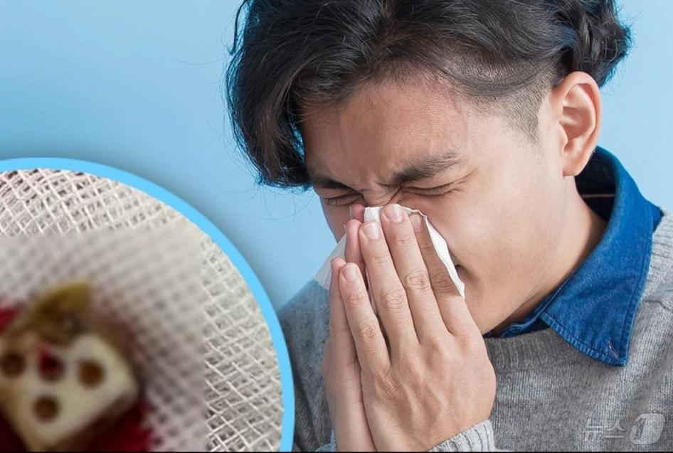 본문 이미지 - 관련 시각물 - SCMP 갈무리