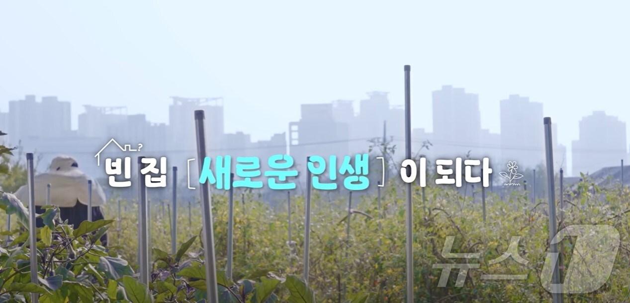 본문 이미지 -  행정안전부 유튜브 갈무리. 