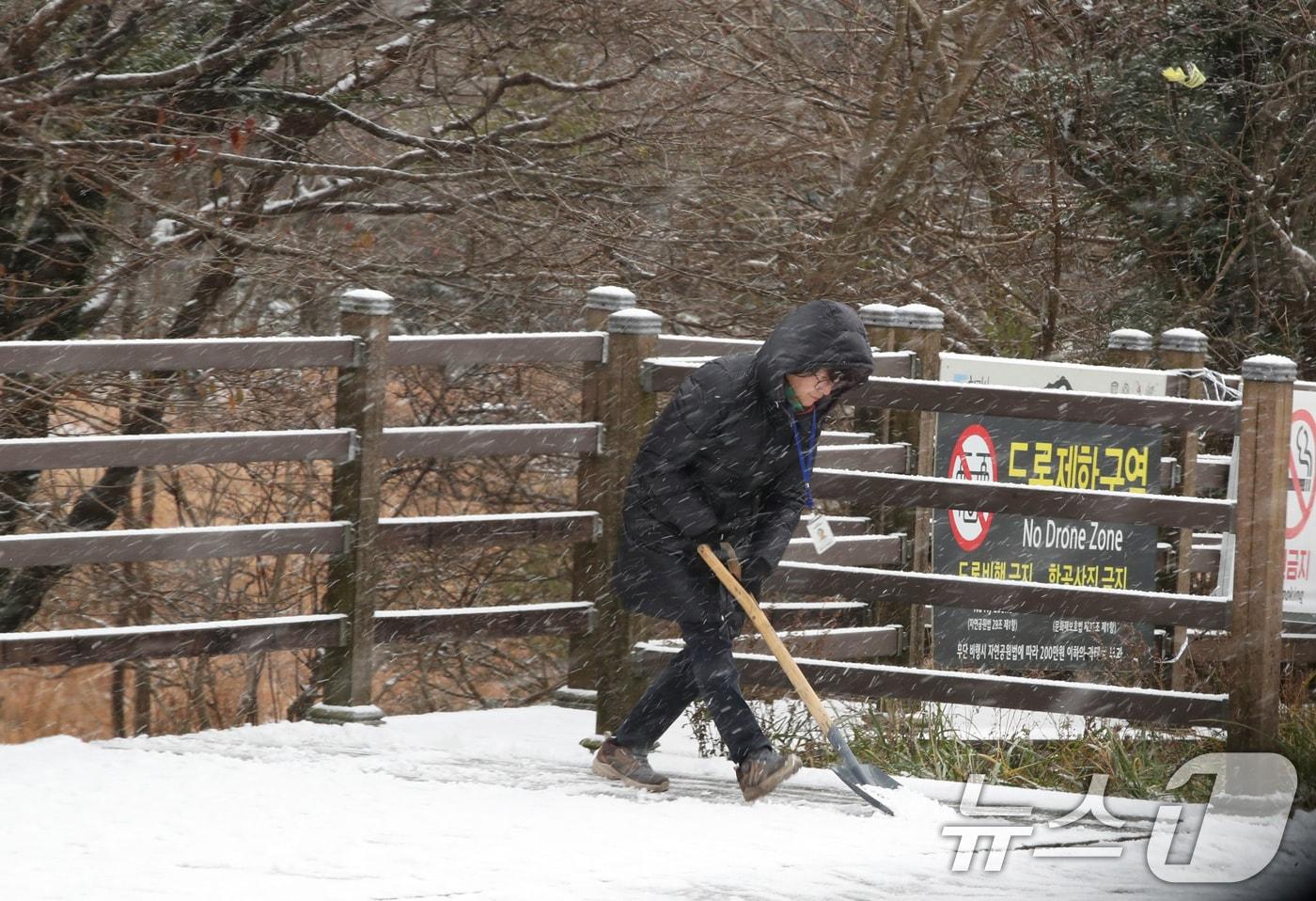 본문 이미지 - 제주에 올가을 첫눈이 내린 27일 오전 한라산국립공원 1100고지휴게소에서 관계자가 쌓인 눈을 치우고 있다. 2024.11.27/뉴스1 ⓒ News1 오현지 기자