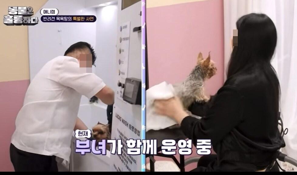 본문 이미지 - KBS '동물은 훌륭하다' 방송에서 개를 식용으로 도살해오던 개 도살 업자를 미화하는 내용이 담겨 동물단체가 항의 및 정정 방송을 요구했다. (KBS 동물은 훌륭하다 2화 방송 갈무리)ⓒ 뉴스1