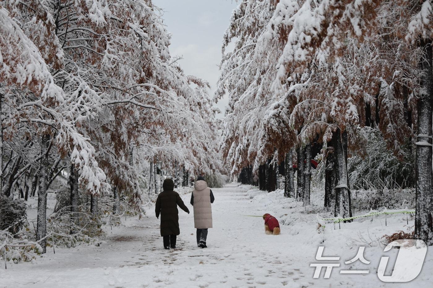 서울에 첫눈이 내린 27일 서울 마포구 시인의 거리에 눈이 쌓여 그림 같은 풍경을 보이고 있다. (마포구청 제공) 2024.11.27/뉴스1