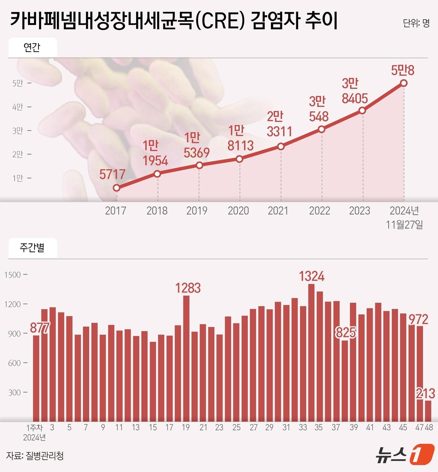 본문 이미지 - ⓒ News1 윤주희 디자이너