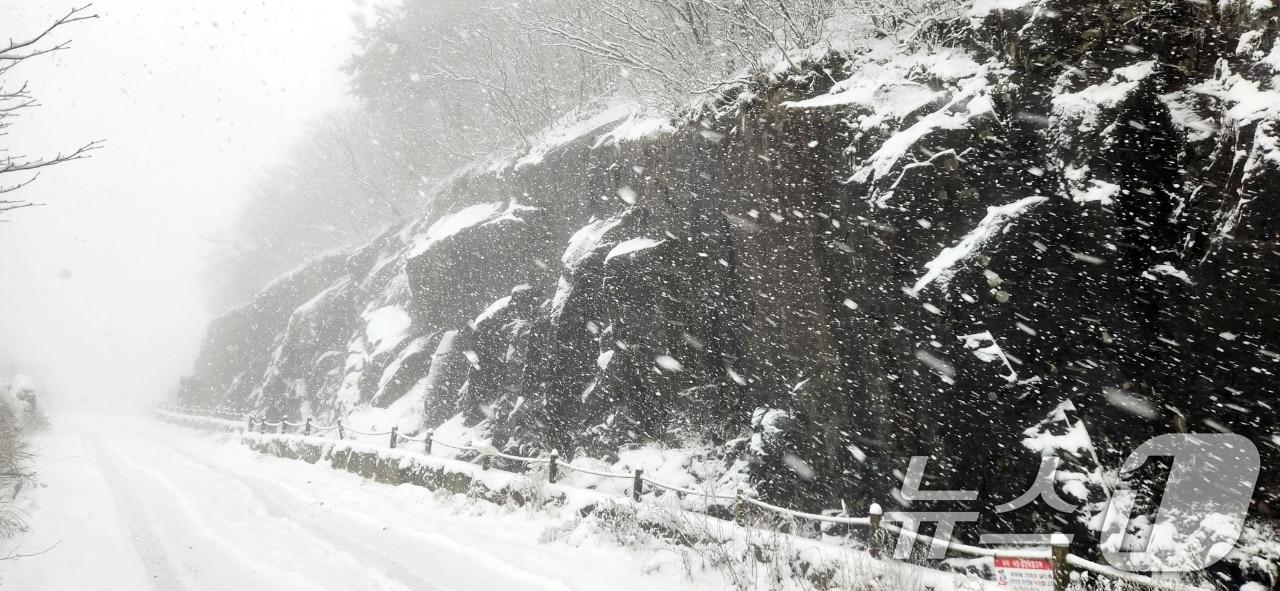 본문 이미지 - 27일 오전 광주 무등산 장불재에 올해 첫눈이 내리고 있다. (무등산국립공원 사무소 제공) 2024.11.27/뉴스1 ⓒ News1 이승현 기자
