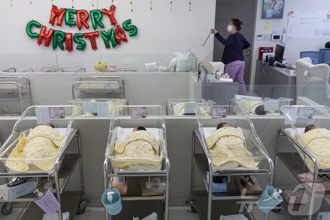 서울의 한 여성병원에서 신생아들이 휴식을 취하고 있다. 2024.11.27/뉴스1 ⓒ News1 이재명 기자