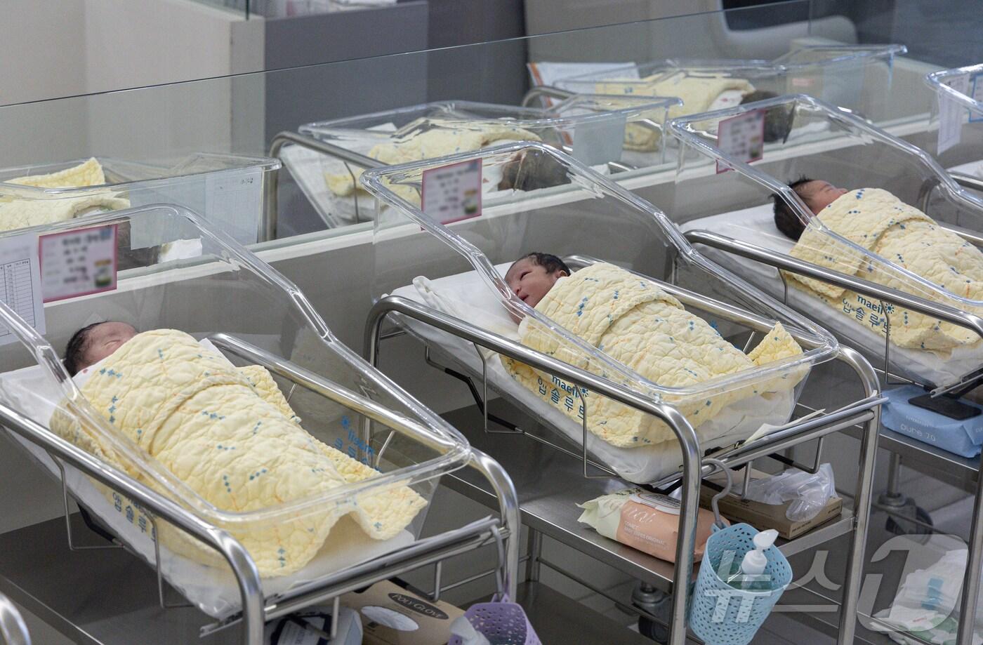 올해 3분기 합계출산율이 지난해 3분기보다 0.05명 올라 0.76명을 기록, 2015년 4분기 이후 36개 분기 만에 반등에 성공했다. 사진은 서울의 한 여성병원에서 신생아들이 휴식을 취하고 있다. 2024.11.27/뉴스1 ⓒ News1 이재명 기자