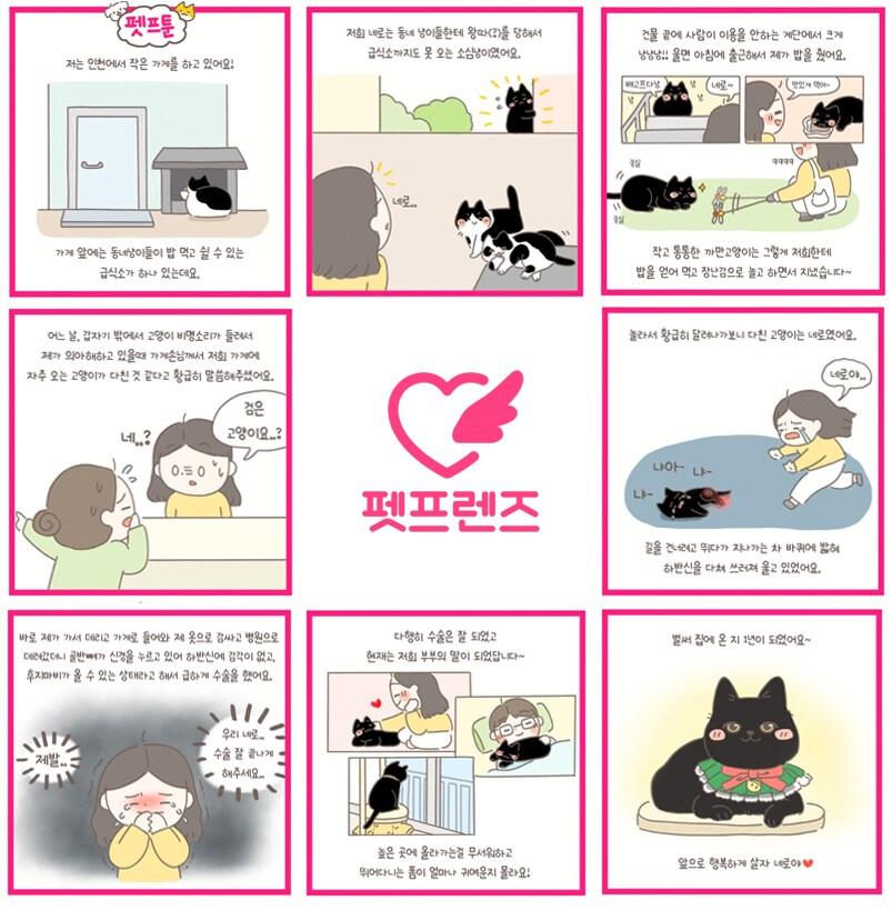 본문 이미지 - 펫프툰(펫프렌즈 제공) ⓒ 뉴스1