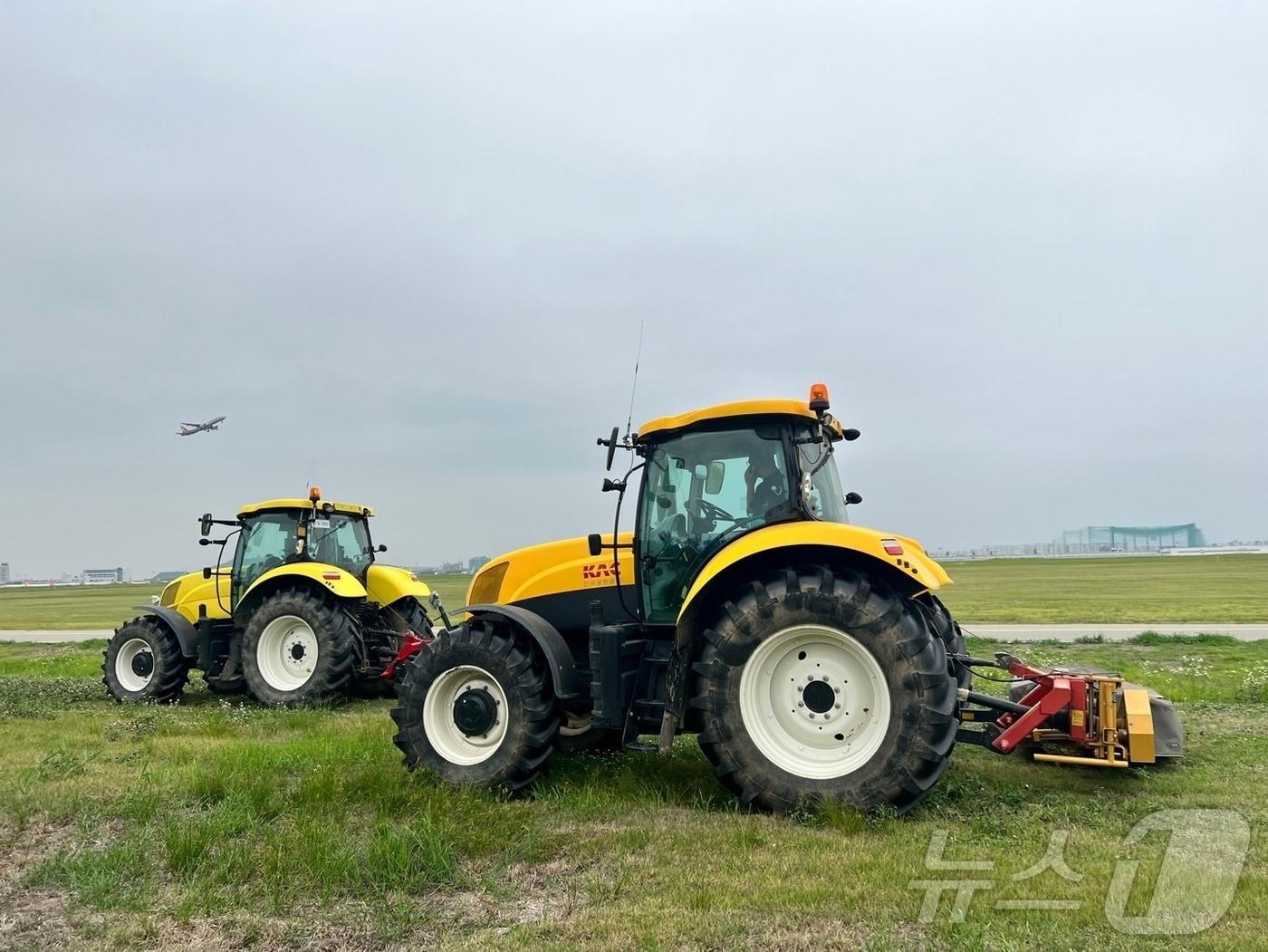 본문 이미지 - 김포공항 이동지역 삭초 작업(한국공항공사 제공) / 뉴스1