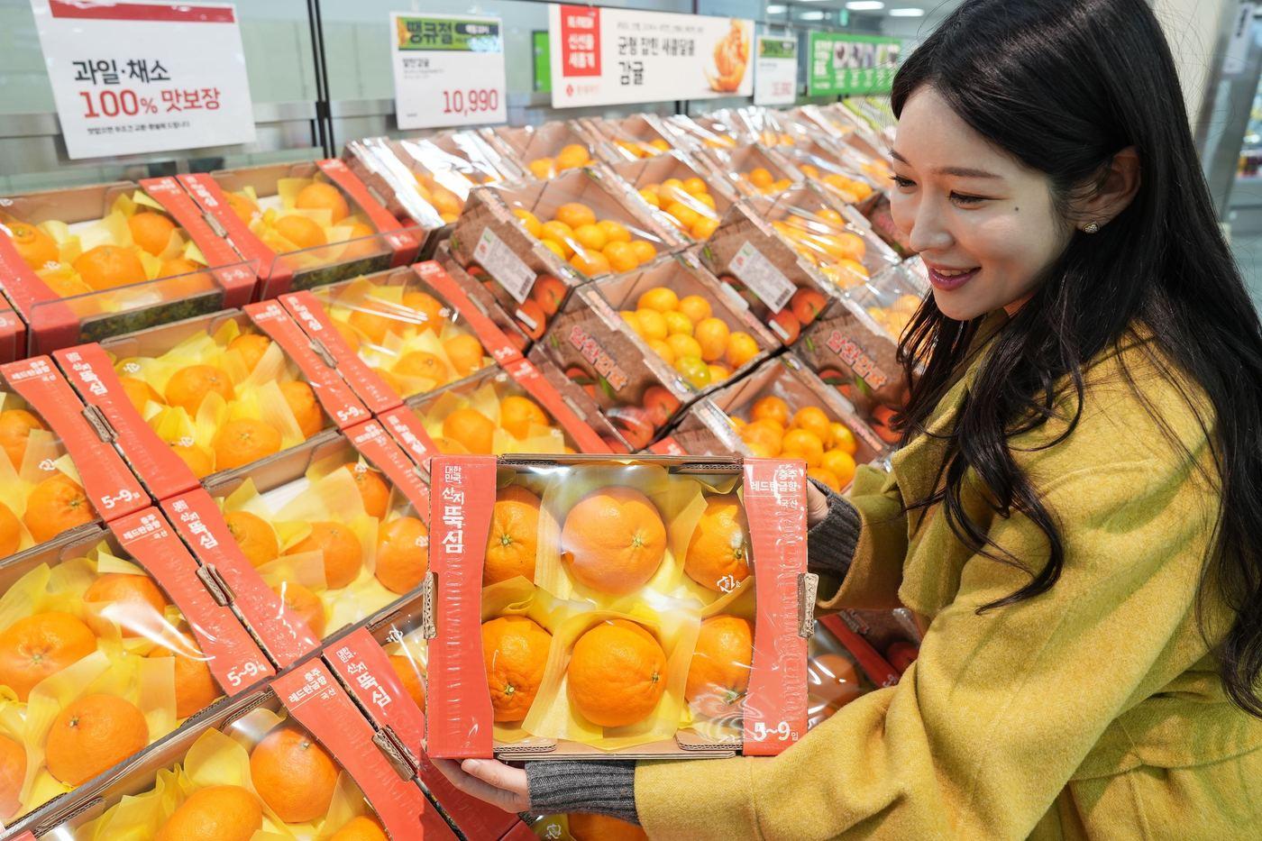롯데마트∙슈퍼는 주산지 제주도를 벗어난 내륙 산지의 감귤류 운영을 확대한다(롯데마트제공)