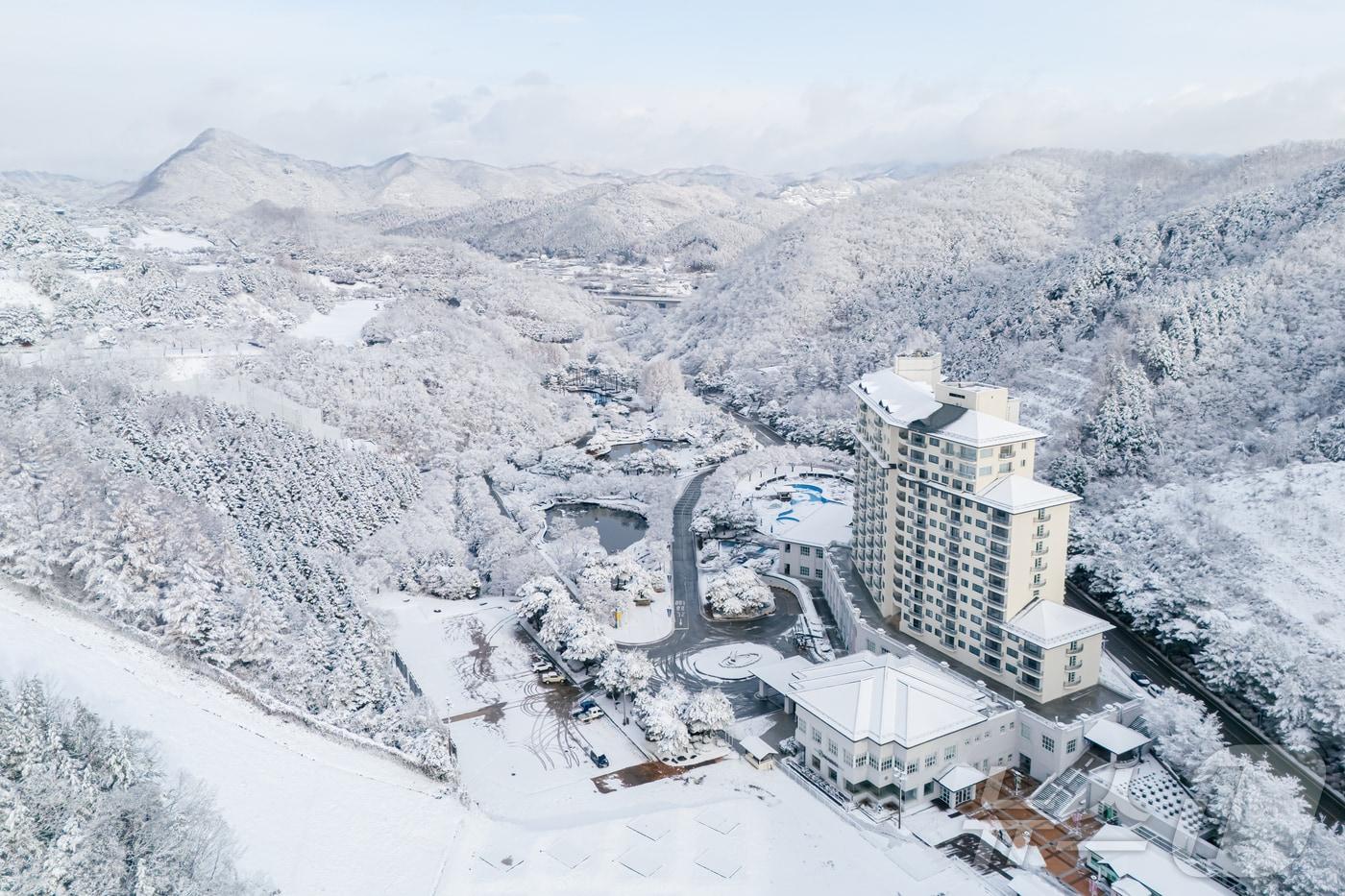 27일 강원 춘천시 남산면 소재 엘리시안강촌 스키장에 첫 눈이 내리면서 눈 꽃이 장관을 이루고 있다.(엘리시안 강촌 제공) 2024.11.27/뉴스1 ⓒ News1 이종재 기자