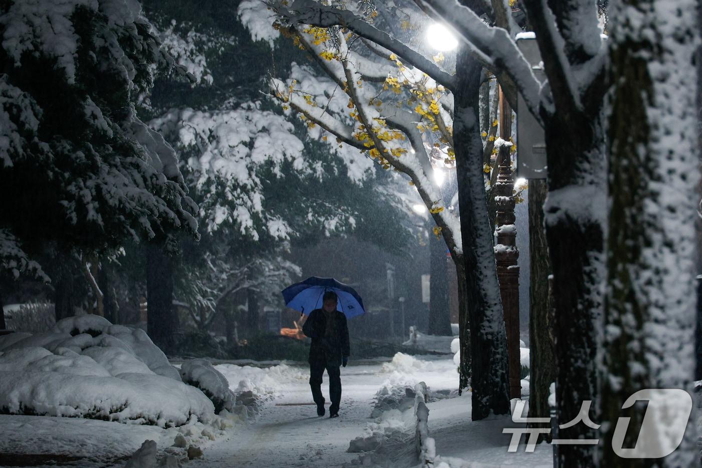 수도권에 이틀째 많은 눈이 내리는 28일 오전 서울 여의도 국회의사당 인근에서 한 시민이 우산을 쓴채 출근하고 있다. 2024.11.28/뉴스1 ⓒ News1 안은나 기자