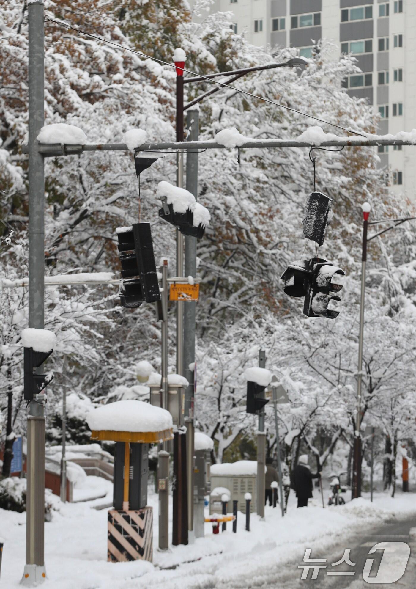 본문 이미지 - 서울을 비롯한 수도권에 기록적인 폭설이 쏟아진 28일 오전 경기 화성시의 한 신호등이 쌓인 눈의 무게를 이기지 못하고 파손돼 있다. 2024.11.28/뉴스1 ⓒ News1 김영운 기자
