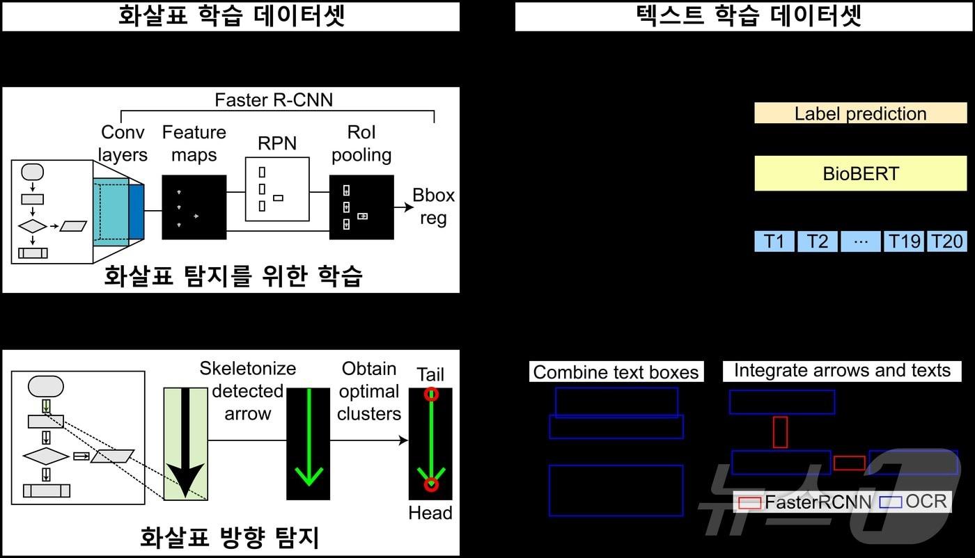 본문 이미지 - 바이오 경로 이미지에서 생화학 반응 정보를 자동으로 추출하는 EBPI의 모식도.(KAIST 제공)/뉴스1