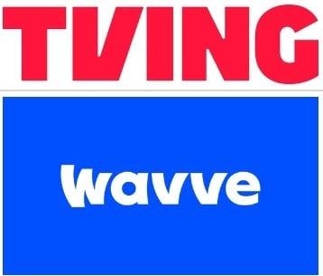 본문 이미지 - /뉴스1