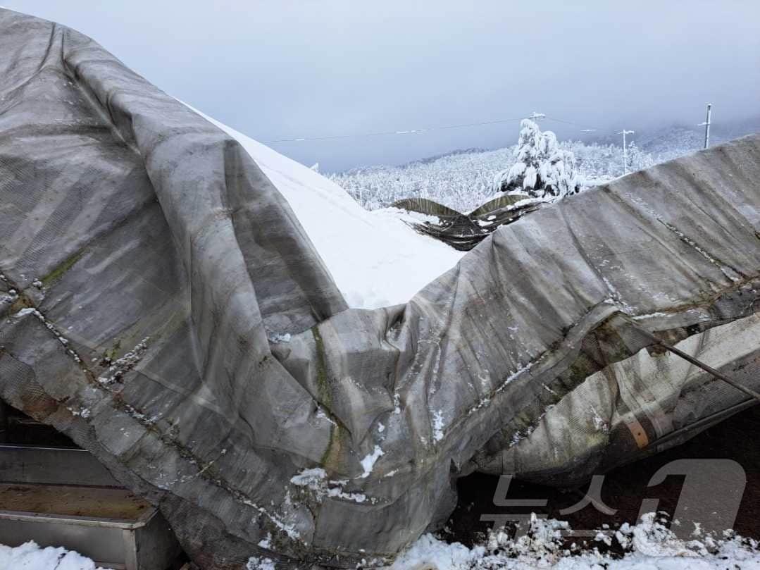 본문 이미지 - 강원 횡성 서원면 창촌리 사고 현장.&#40;횡성소방서 제공&#41;