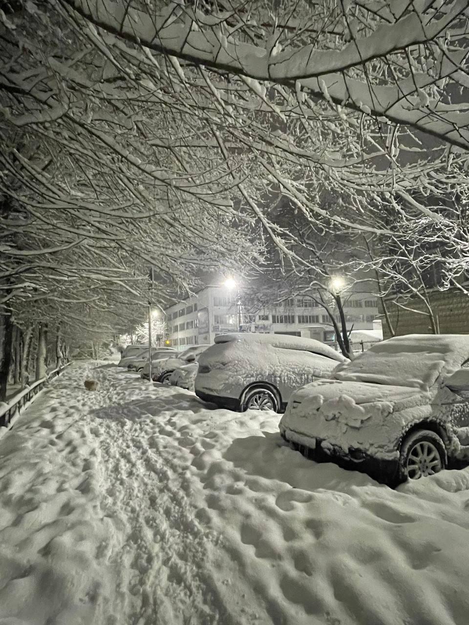 본문 이미지 - <출처=엑스 갈무리>