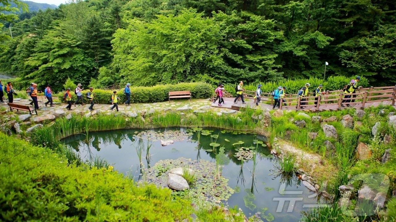 본문 이미지 - 전북 장수군은 '금강첫물 뜬봉샘'과 '수분마을'이 국가생태관광지로 지정됐다고 28일 밝혔다. 뜬봉샘 전경(장수군 제공)20204.11.28/뉴스1