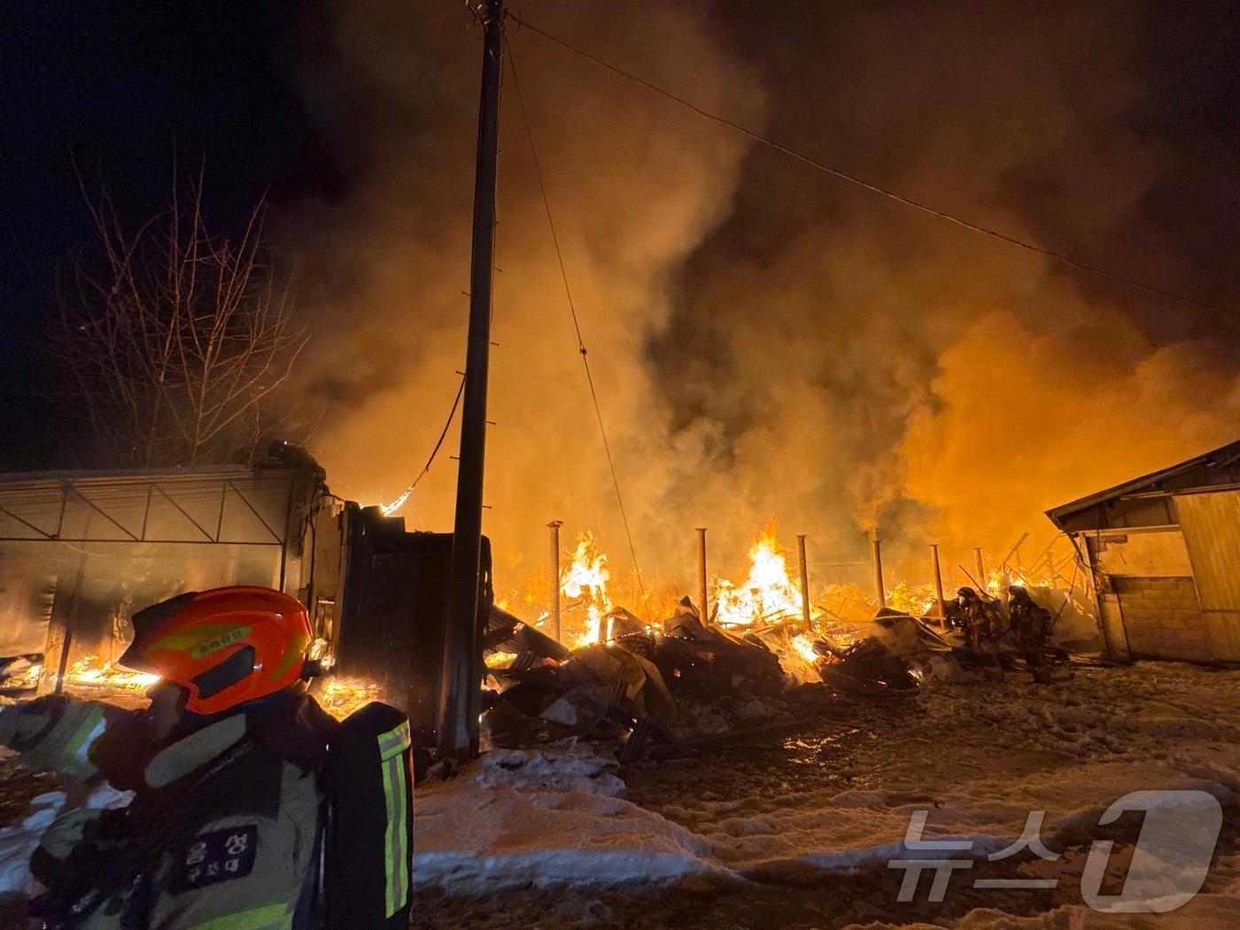 본문 이미지 - 음성 공장 화재(음성소방서 제공).2024.11.29/뉴스1 
