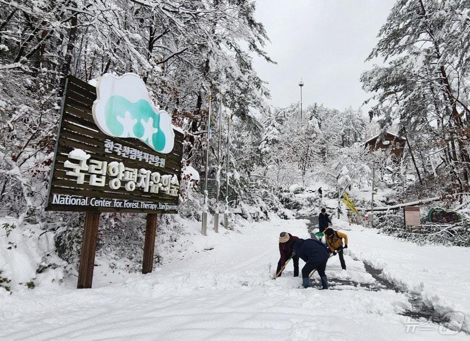 본문 이미지 - 한국산림복지진흥원 포이가디언스 대원이 국립양평치유의숲에서 제설작업을 하고 있다. (산림청 한국산림복지진흥원 제공)/뉴스1
