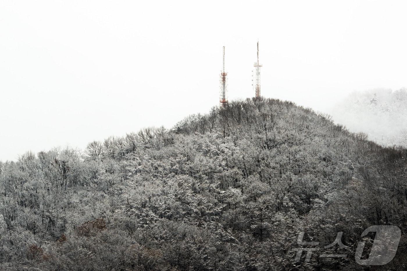 본문 이미지 - 겨울철 청주 우암산/뉴스1 