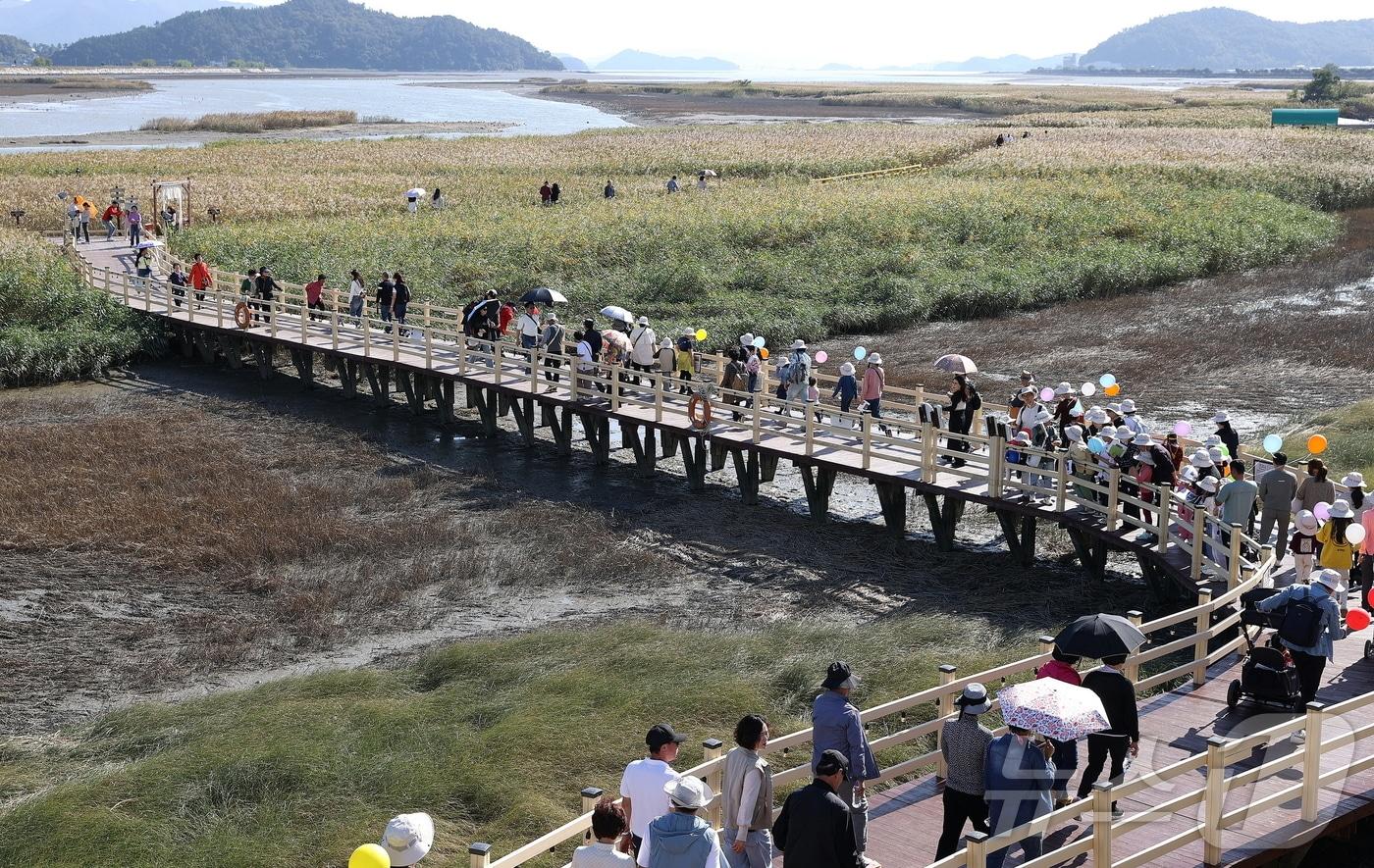 강진만 춤추는 갈대축제.&#40;강진군 제공&#41;