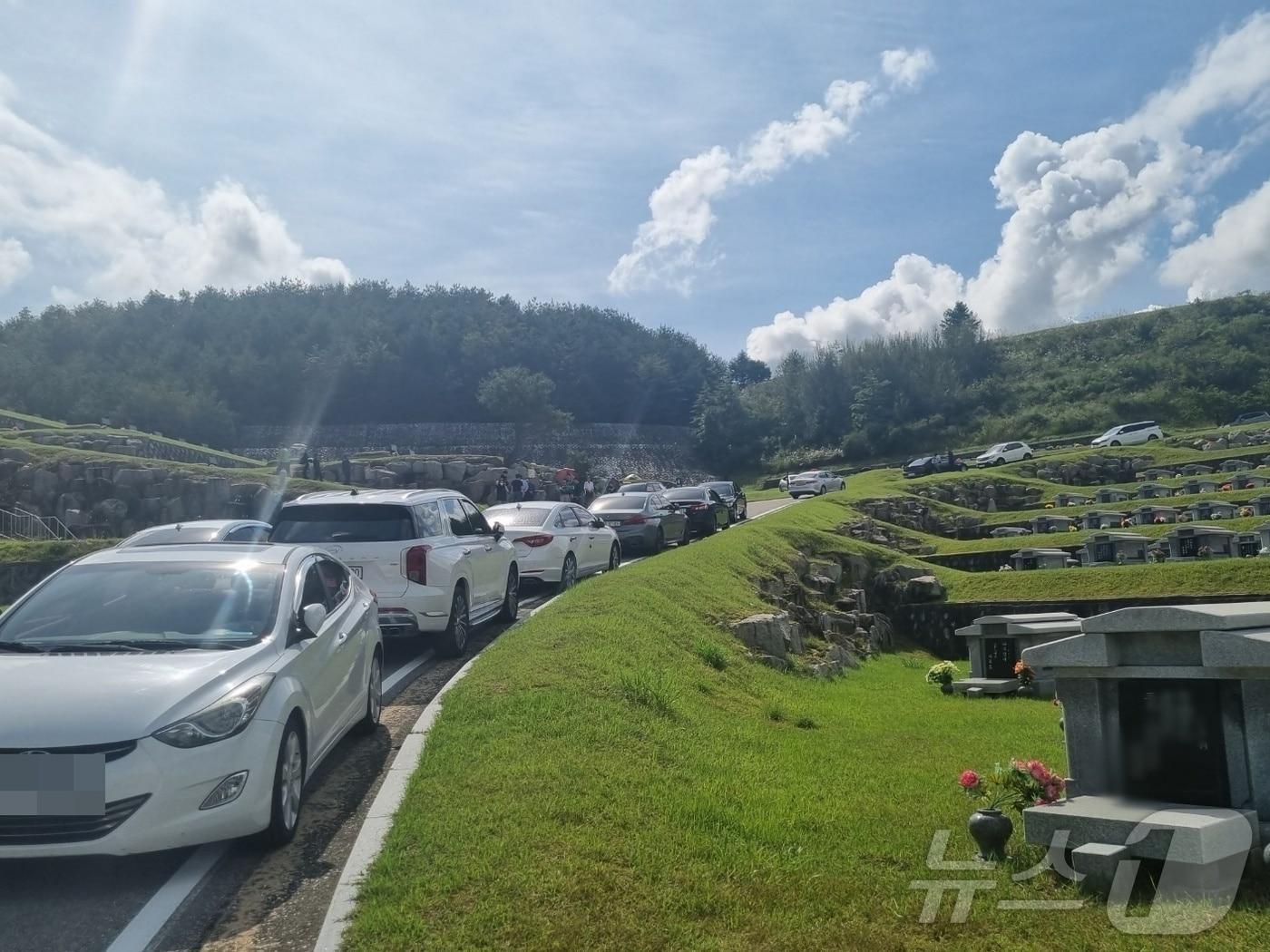 본문 이미지 - 강릉 청솔공원 일대 자료사진.(뉴스1 DB)