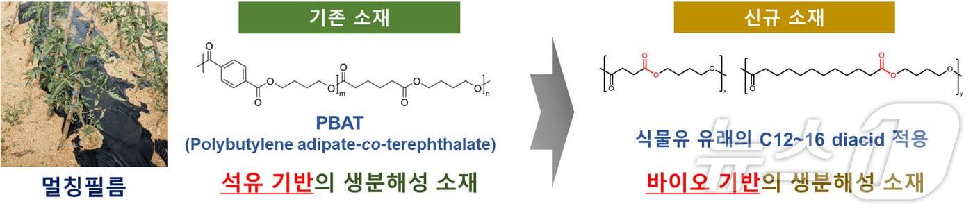 멀칭필름 제조용 신규 생분해성 소재 개발 개념도(섬유개발연구원 제공)