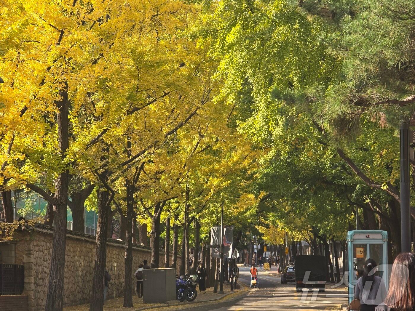 본문 이미지 - 자료사진/뉴스1 ⓒ News1