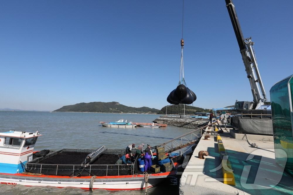본문 이미지 - 해남 물김 위판 화산 구성항(해남군 제공)/뉴스1 