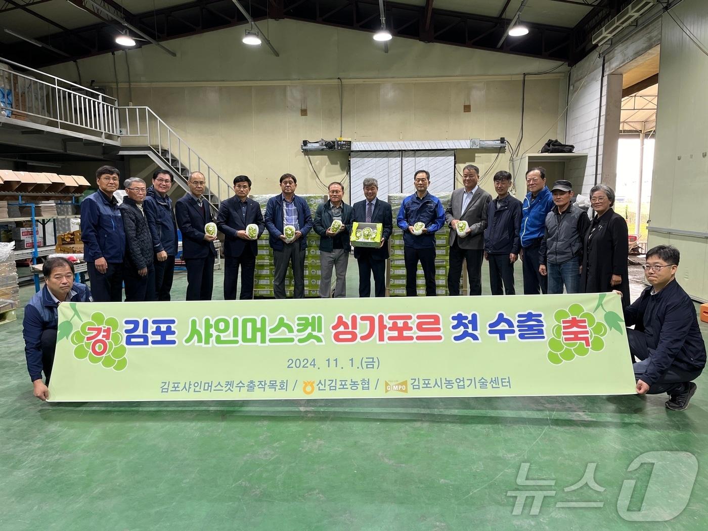 본문 이미지 - 샤인머스캣 출하 사진(경기 김포시 제공)/뉴스1