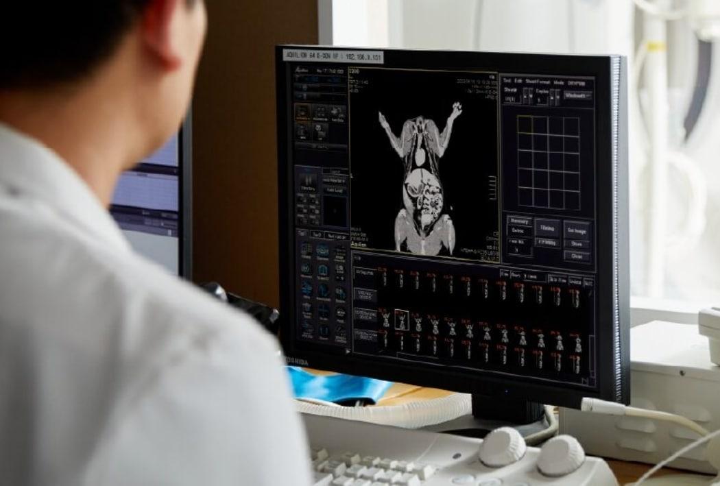 본문 이미지 - 간종양과 같은 질환은 조기에 발견하고 치료하는 게 중요하다. &#40;SD동물의료센터 제공&#41; ⓒ 뉴스1