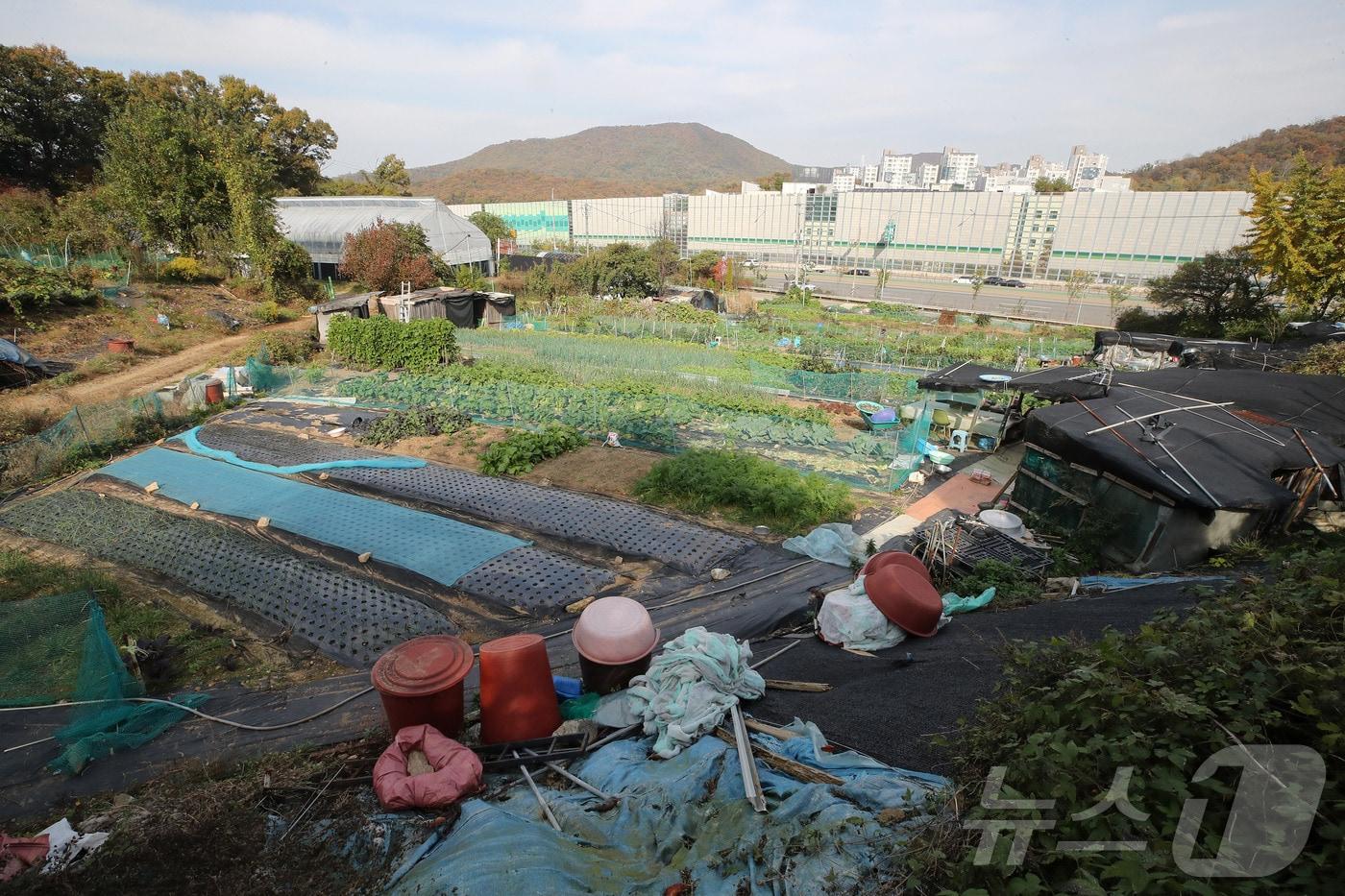 서울 서초구 원지동 모습. &#40;자료사진&#41; /뉴스1 ⓒ News1 박세연 기자