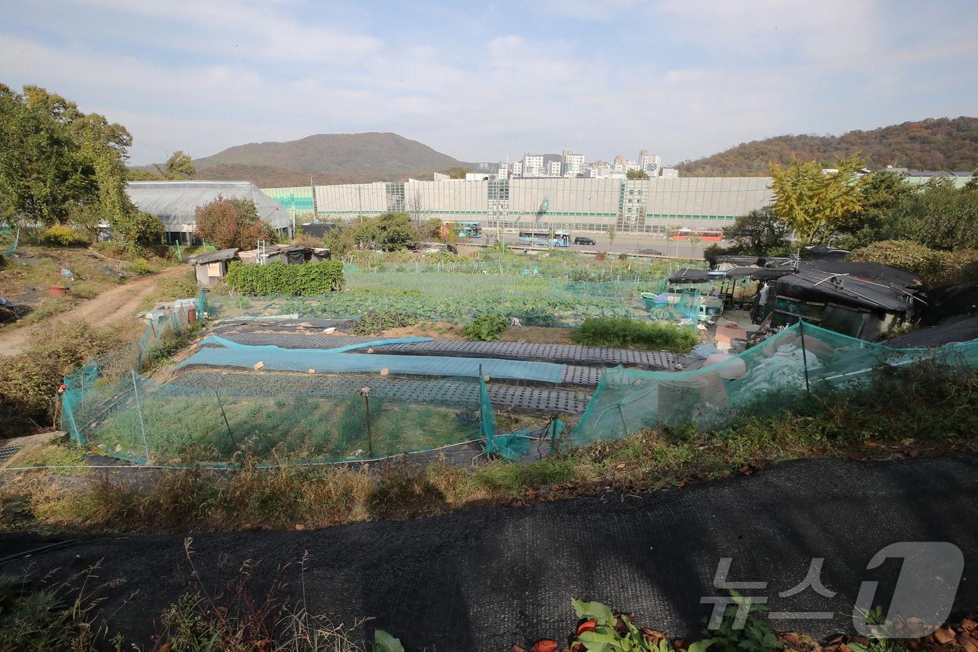  서울 서초구 원지동 모습. &#40;자료사진&#41;뉴스1 ⓒ News1 박세연 기자