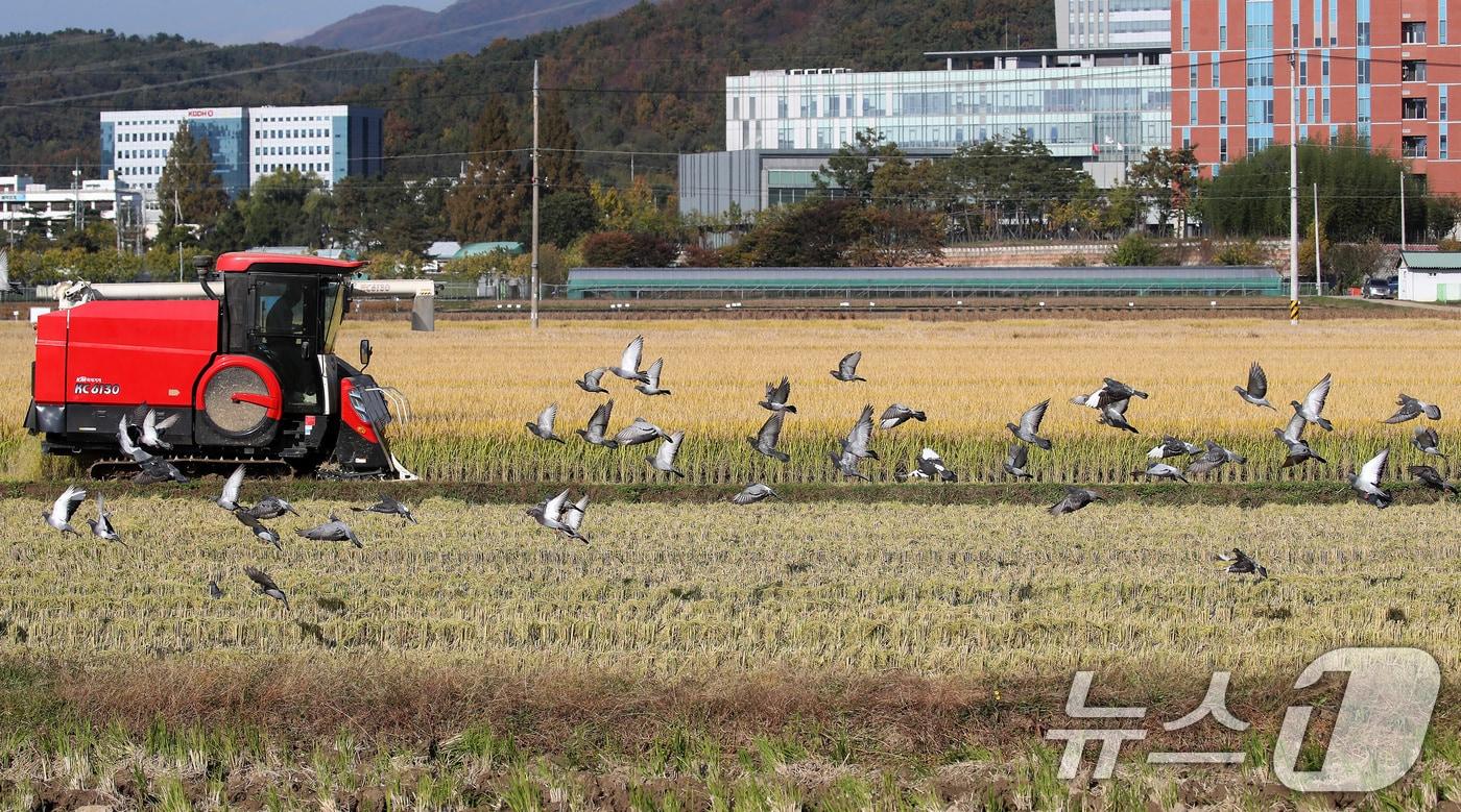 ⓒ News1 공정식 기자