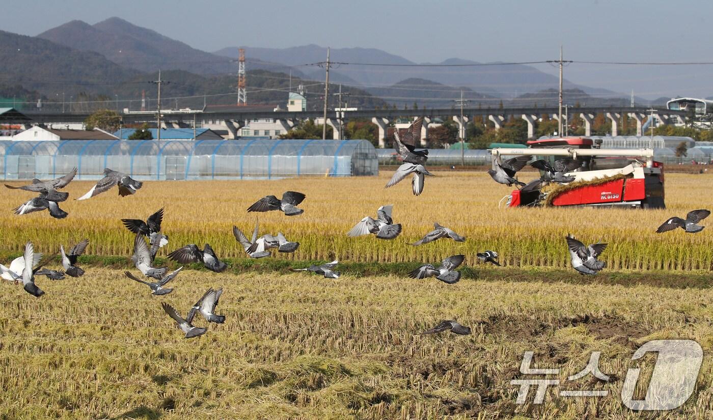 ⓒ News1 공정식 기자