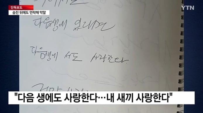 본문 이미지 - &#40;YTN 갈무리&#41;