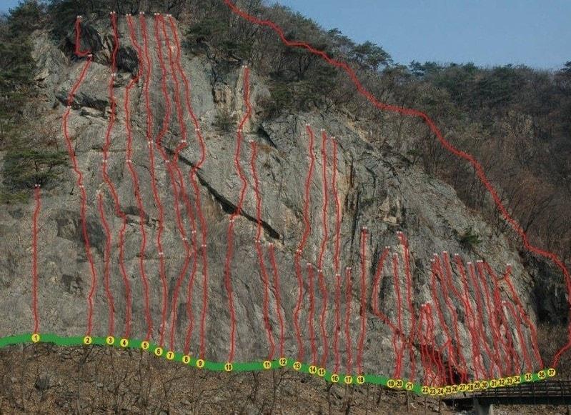 본문 이미지 - (온라인 커뮤니티 갈무리)