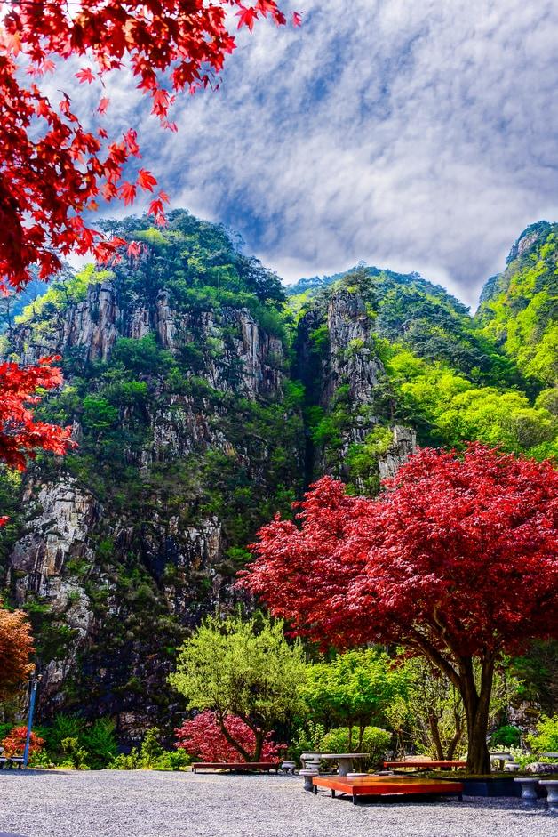 본문 이미지 - 괴산 쌍곡계곡 소금강.(괴산군 제공)/뉴스1