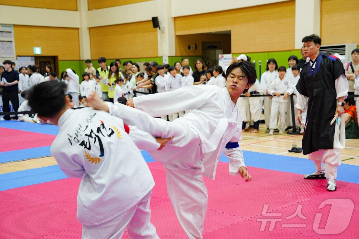본문 이미지 -  6일 ㈔한국택견협회는 올해 세계에 택견을 전파하기 위해 해외 지도자 파견 사업을 추진했다고 밝혔다. 사진은 전국택견한마당 모습.(한국택견협회 제공)/뉴스1