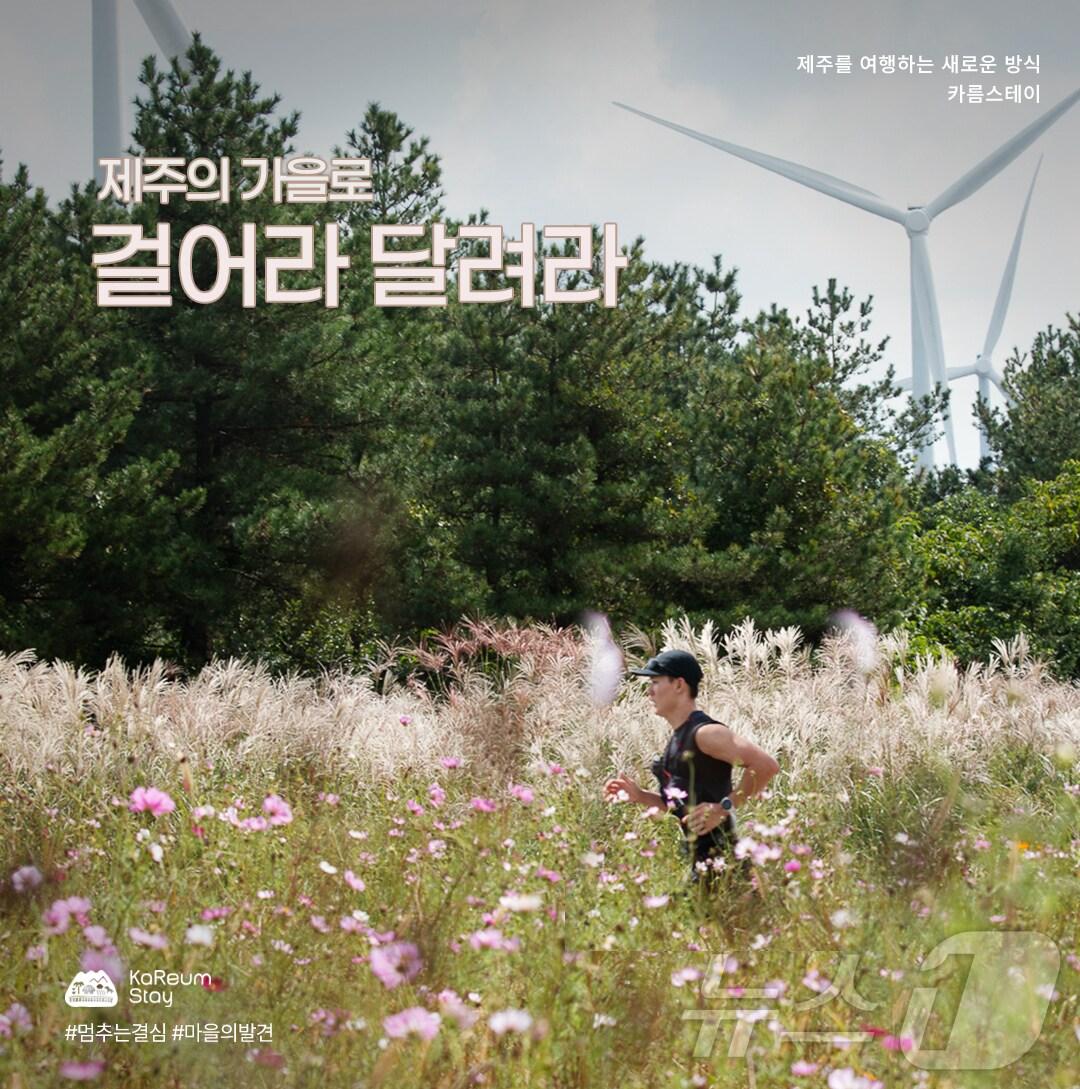 본문 이미지 - 제주관광공사 제공. 