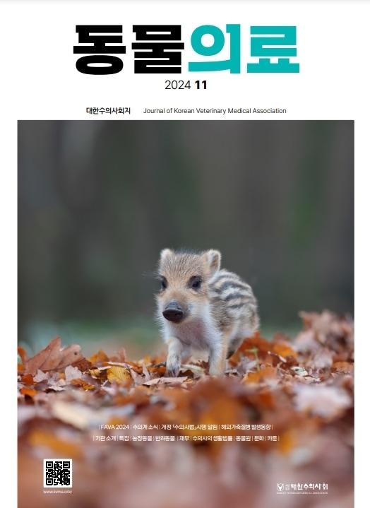 본문 이미지 - 대한수의사회 학술지 11월호 표지 (대한수의사회 제공) ⓒ 뉴스1