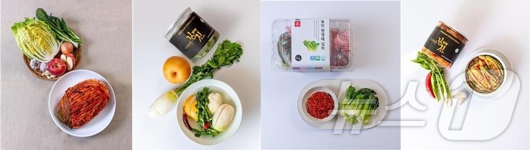 본문 이미지 - 경기도 제공.