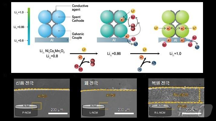 본문 이미지 - 사용 후 배터리 양극재 복원 메커니즘. (에너지연 제공)/뉴스1