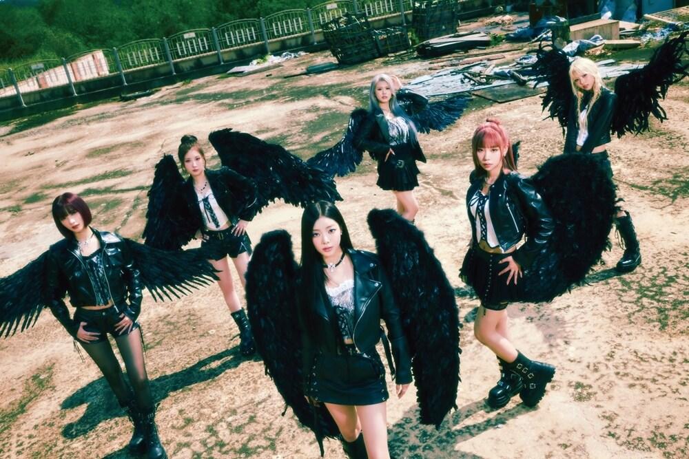 본문 이미지 - 사진=알비더블유