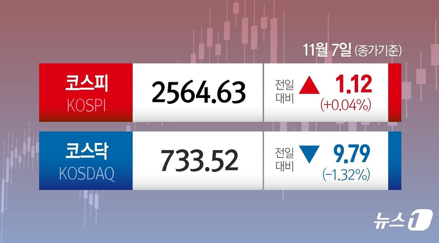 본문 이미지 - ⓒ News1 양혜림 디자이너