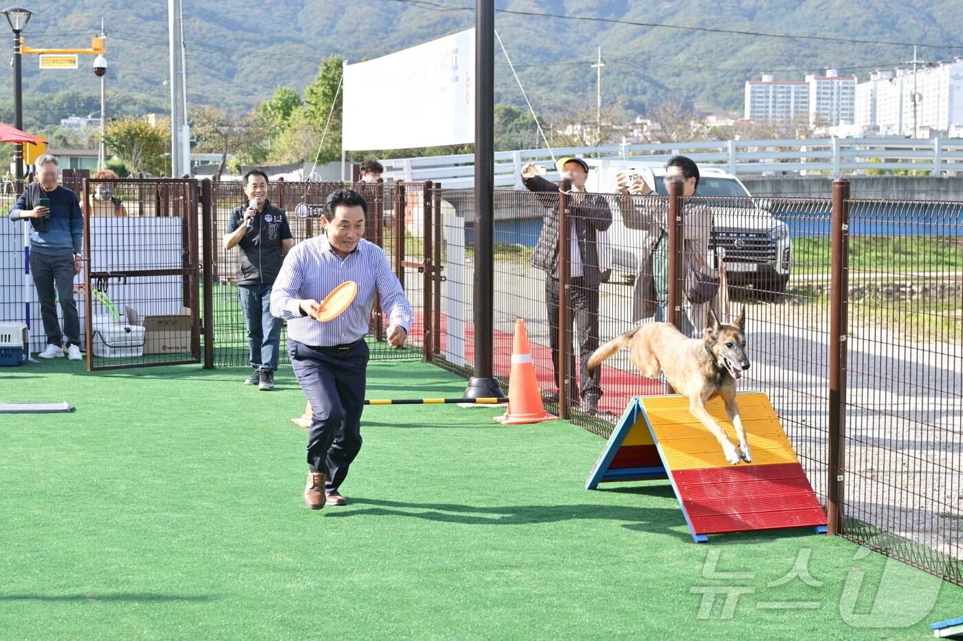 본문 이미지 - 백영현 경기 포천시장이 개를 훈련하는 모습.