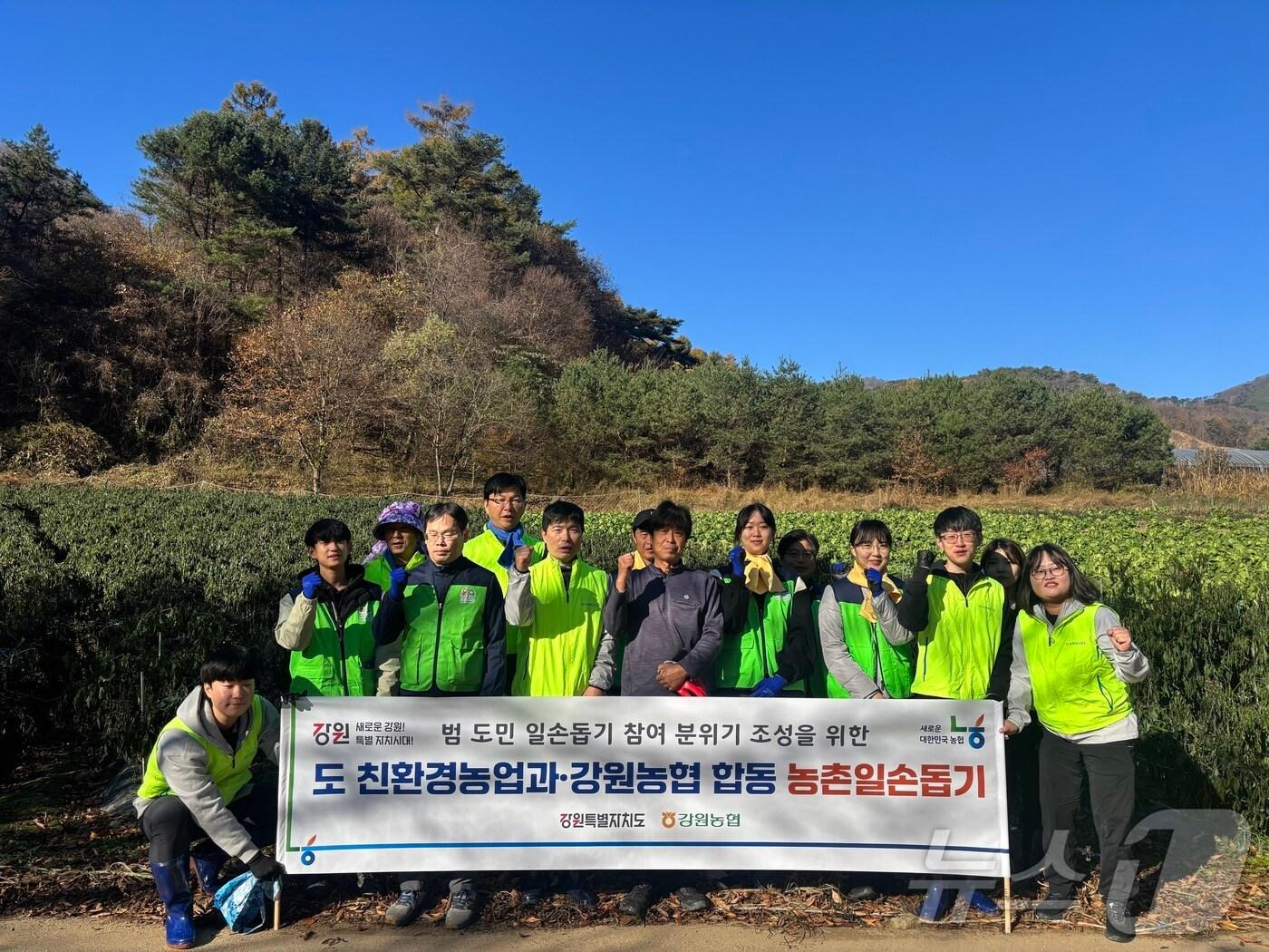 본문 이미지 - 강원도청과 농협중앙회 강원본부, 7일 농촌일손돕기와 영농폐기물 수거 활동 진행.(농협강원본부 제공)